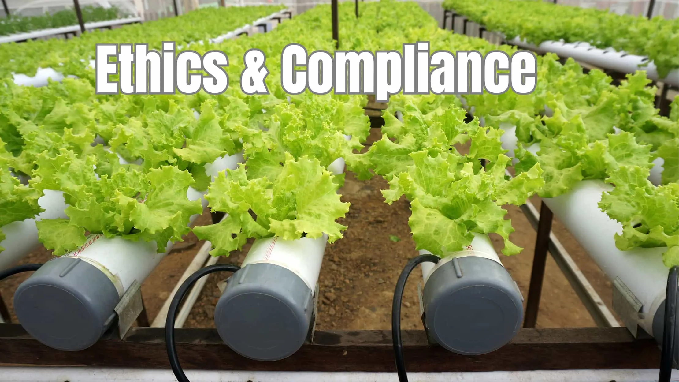 Ethics Header